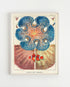 Light Wood Framed Great Barrier Reef Anemones Vintage Illustrations Wall Art Print